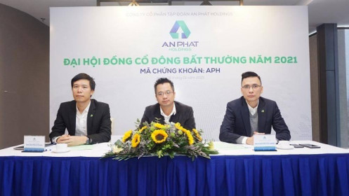 ĐHĐCĐ bất thường APH: Phát hành thêm 55.7 triệu cổ phiếu, nâng công suất nhà máy chất dẻo sinh học