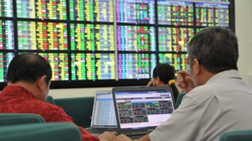 Những trường hợp nào được chuyển quyền sở hữu chứng khoán?