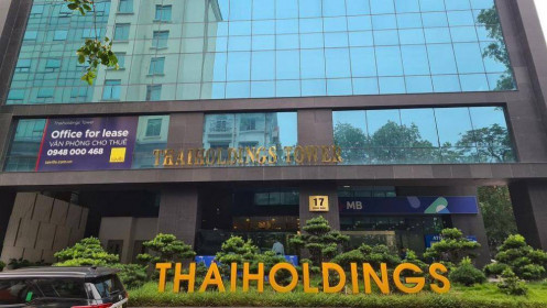 THD: Một cá nhân trở thành cổ đông lớn, lãnh đạo muốn bán sạch quyền mua