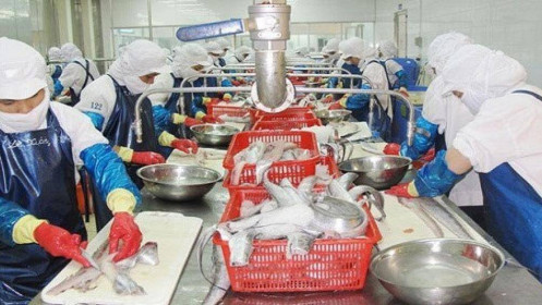Khó khăn chồng chất, NGC 'ôm' lỗ gần 17 tỷ đồng trong năm 2020