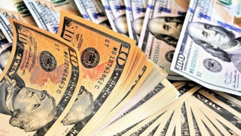 Hơn 3.5 triệu USD chảy vào VNM ETF trong tuần đầu năm