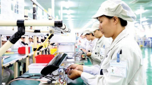 55% doanh nghiệp FDI báo lỗ: Lỗ thật hay chuyển giá trốn thuế?