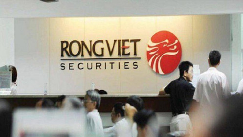 VDS: Chú rồng vươn lên từ đại sóng chứng khoán