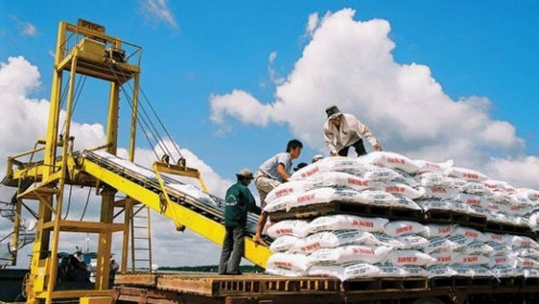 Năm 2021, PSE đặt chỉ tiêu lãi sau thuế 8 tỷ đồng