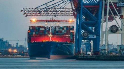 Giá container rỗng tăng 10 lần: Giá ảo và nỗi buồn thật?
