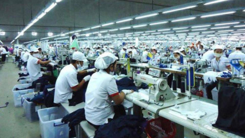 Cổ phiếu TDT giảm sàn liên tiếp 2 phiên sau tin tăng vốn, chuyển sàn