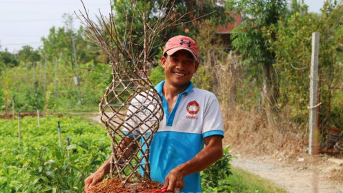 Chàng trai 9x uốn mai vàng thành lộc bình tiền triệu "cháy" hàng dịp Tết
