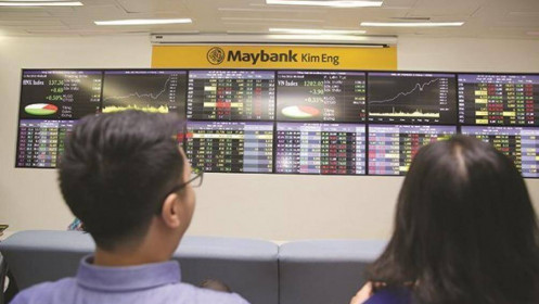 Đầu tư chứng khoán: Tay chuyên hay tay mơ?