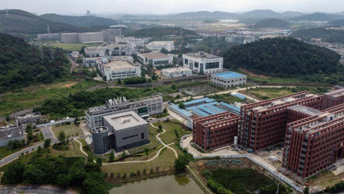 Chuyên gia WHO lên tiếng sau khi đến thăm Viện virus học Vũ Hán