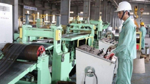 Quốc tế Phương Anh lấy lại đà tăng trưởng trong năm 2020