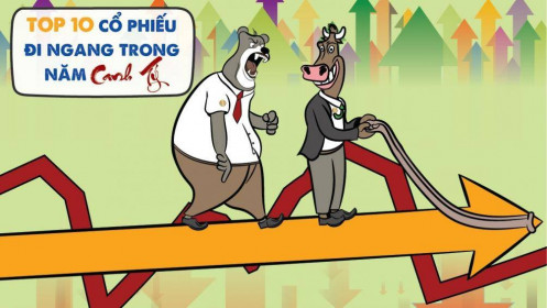 Top 10 cổ phiếu đi ngang năm Canh Tý