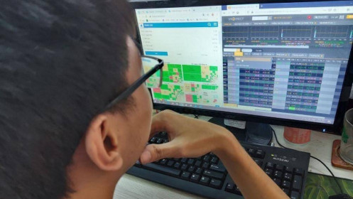 Bài học cho nhà đầu tư F0 sau một năm biến động (P1)