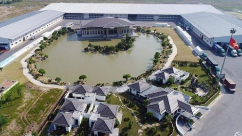 APH chào bán gần 56 triệu cổ phiếu ra công chúng