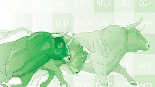 Nhịp đập Thị trường 17/02: Khởi đầu tích cực
