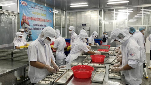 Cổ đông lớn APT thoái thành công hơn 18% vốn điều lệ