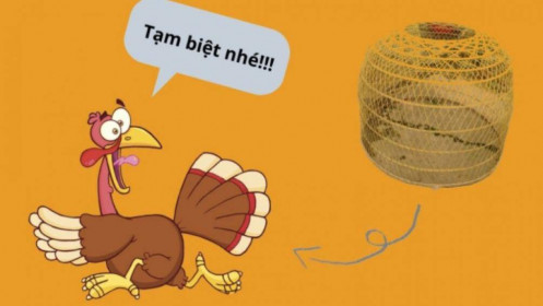 Câu chuyện con gà tây và bài học cắt lỗ trong đầu tư chứng khoán