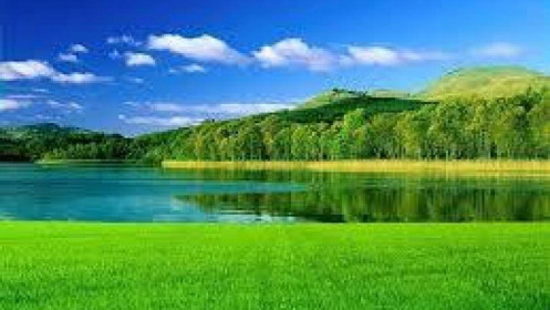 Phiên giao dịch ngày 19/2: Kết tuần êm đẹp