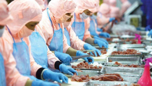 Một năm ‘chao đảo’ của doanh nghiệp thủy sản, kỳ vọng nào cho năm 2021?