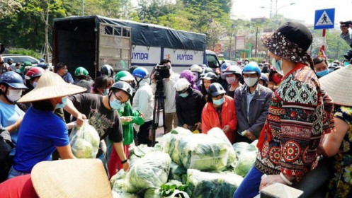 Nông sản Hải Dương chờ 'giải cứu': Khó khăn chồng khó khăn