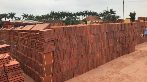 VTS có thể mua lại toàn bộ cổ phiếu do cổ đông Nhà nước thoái vốn