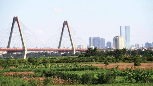 Theo chân F0 săn đất nền