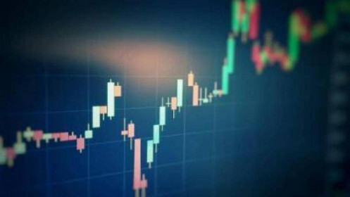Kinh nghiệm đầu tư cho 2021: Mẫu hình có hiệu quả ở thị trường Việt Nam? (Kỳ 7)