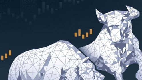 Đẩy trụ kéo ngược VN-Index, SHB tạo biến bên HNX