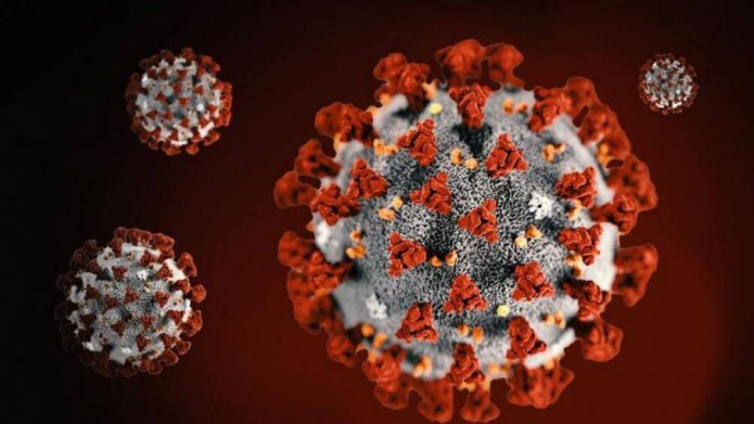 WHO đưa ra kết luận về nguồn gốc của virus Sars-CoV-2