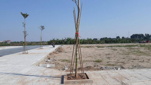 Bất động sản tại thị trường từng đóng băng vì Covid-19, giờ ra sao?