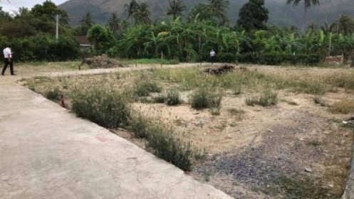 Khánh Hoà: Hết sốt đất thì đến... “loạn” phân lô bán nền