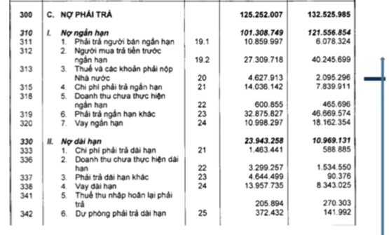 Giải mã bí mật cổ phiếu VHM
