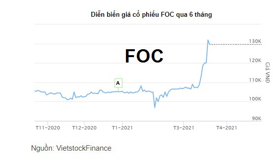 Cổ phiếu FOC tăng trần sau tin trả cổ tức lên tới 200%