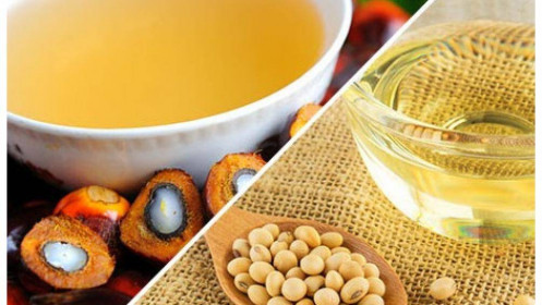 Thị trường hàng hóa 8/4: Dầu đậu giảm mạnh