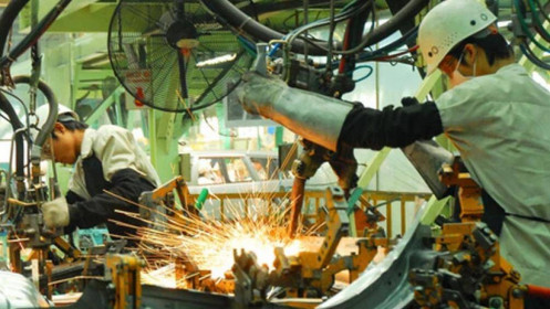 Vì sao thu hút FDI từ các đối tác CPTPP giảm mạnh?