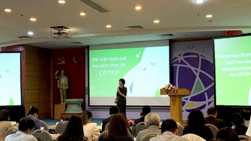Sau 2 năm thực hiện, tỉ lệ doanh nghiệp hưởng 'trái ngọt' từ CPTPP chưa cao