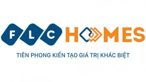 FLCHomes: Lãi ròng 2020 giảm 11%, chứng khoán kinh doanh tăng đột biến