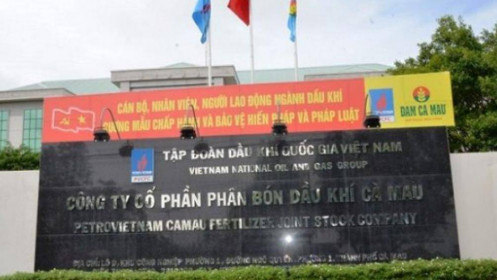 DCM - Canh mua nếu giá về dưới mức 16,500 đồng