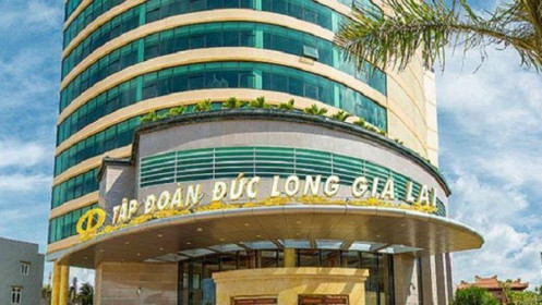DLG: Cổ phiếu liên tục tăng trần dù bị nghi ngờ khả năng hoạt động liên tục