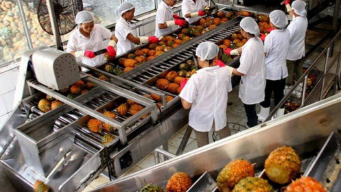 APC đặt mục tiêu lãi ròng 2021 chỉ bằng 4% so với năm trước
