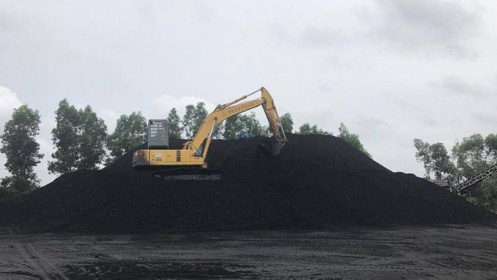 Kinh doanh tăng trưởng, CLM chia cổ tức 2020 cao kỷ lục