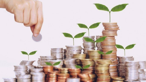 Một doanh nghiệp giấy sắp chia cổ tức 35% bằng tiền