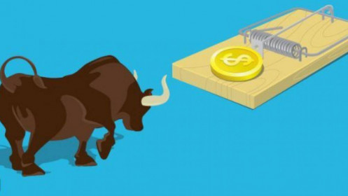 Blog chứng khoán: “Bull” tăng cường độ