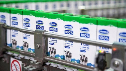 Dù có lao dốc, VNM vẫn được VNDirect duy trì khuyến nghị khả quan