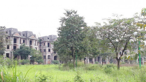 Không dễ dàng khi đánh thuế biệt thự bỏ hoang