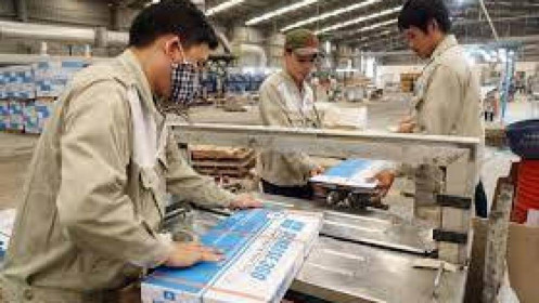 Nhóm cổ đông lớn Hòa Bình Minh giảm hơn một nửa tỷ lệ sở hữu tại CVT