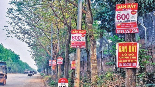 Hậu "sốt đất", dòng tiền sẽ tìm về đâu?