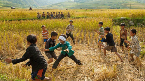 'Bịt mắt bắt dê' trên sàn chứng khoán HOSE