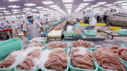 Trung Quốc tạm ngừng nhập hàng đông lạnh của Việt Nam