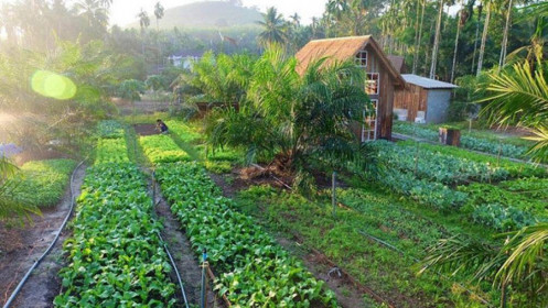 Sai lầm mua nhà ven đô: Ngày đi 40km, 10 năm vật vã trả nợ ngân hàng