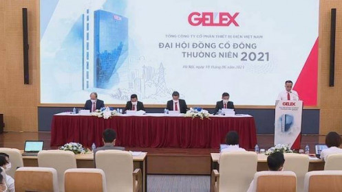 ĐHĐCĐ Gelex: Mục tiêu lãi trước thuế 2021 đạt 1,285 tỷ đồng